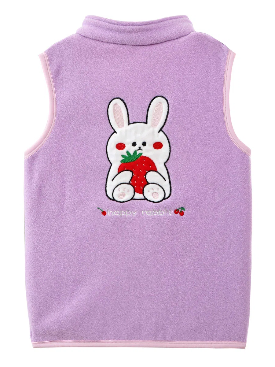Chaleco de Forro Polar para Bebé Niño Pequeños Niño Niña Chaleco Polar con Cremallera y Cuello Alto Chaqueta Sin Mangas Patrón de Dibujos Animados Talla del Fabricante 80/86/92/98/104/110/116/122/134