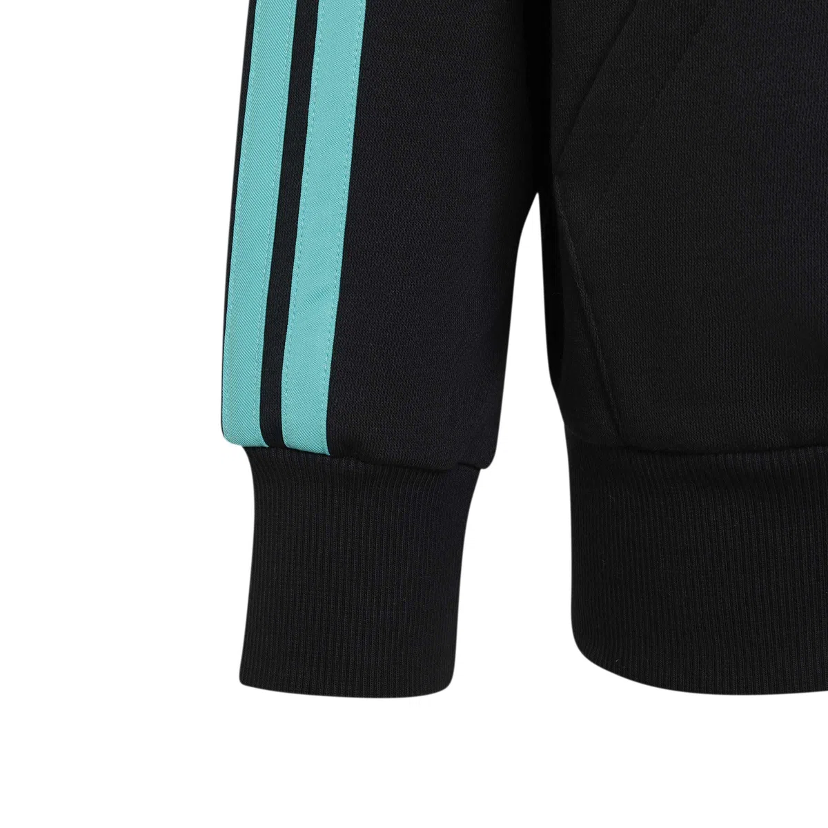 adidas Mercedes - Amg Petronas Formula 1 Team DNA Full Zip Hoody Hoodies Unisex niños