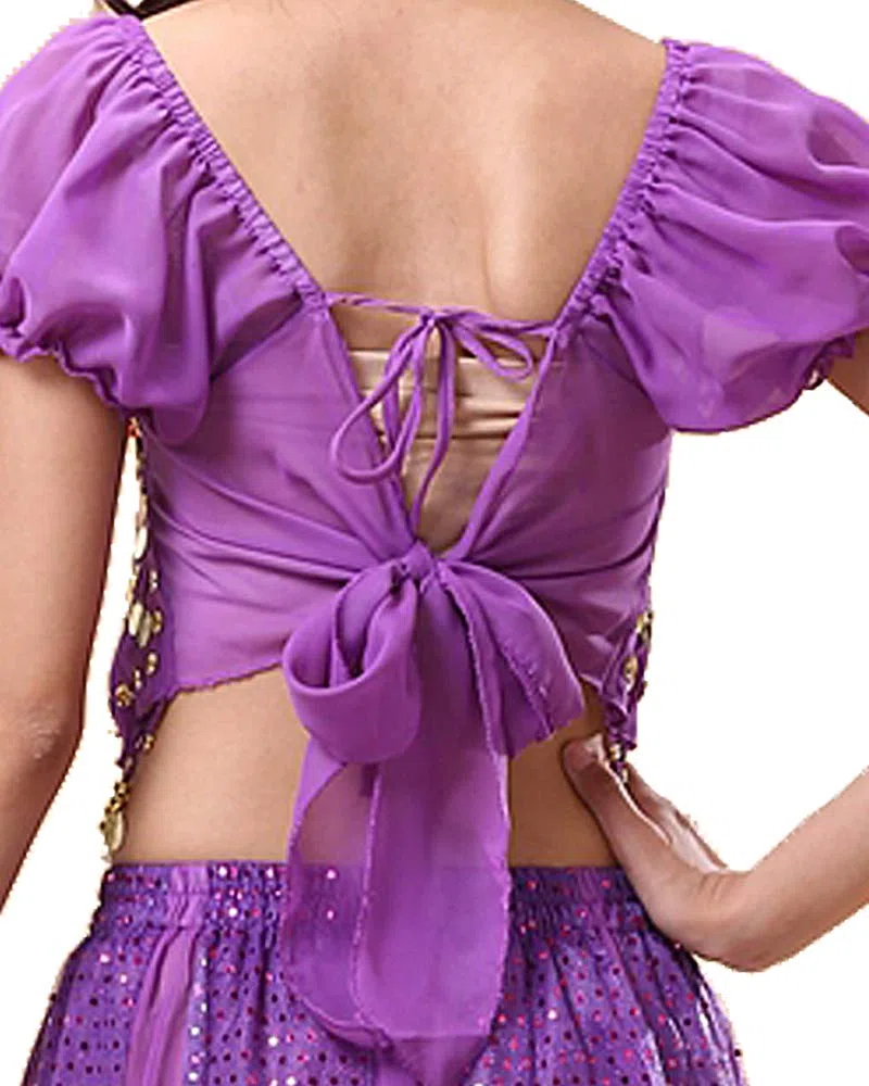 Bollywood Indian Princess Theme Belly Dance 2-Piece Costume Set Outfit for Women Girls with top and Pants (150-169cm, 30-60kg)