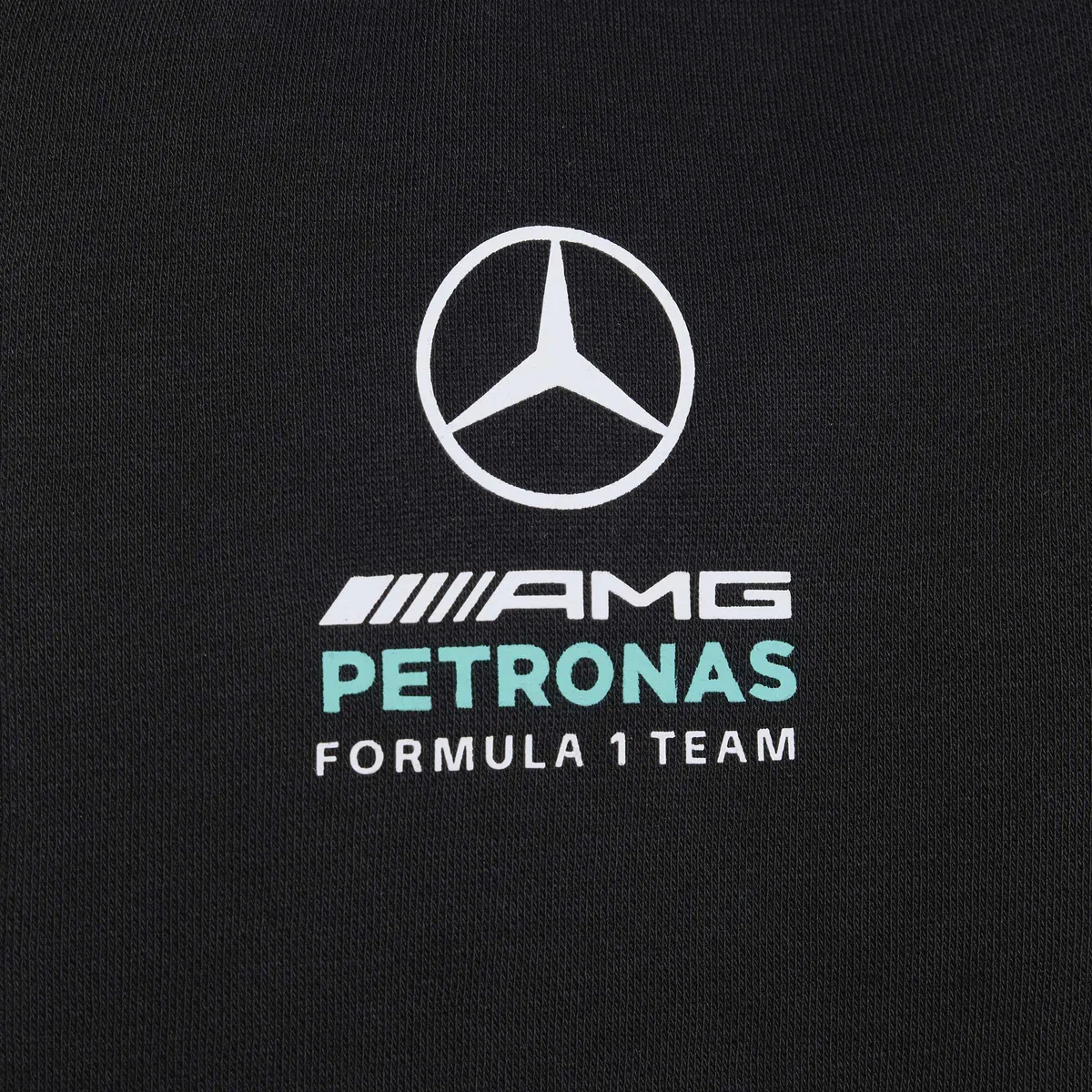 adidas Mercedes - Amg Petronas Formula 1 Team DNA Full Zip Hoody Hoodies Unisex niños