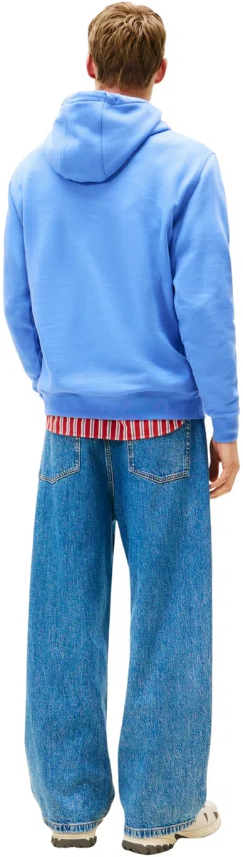Tommy Jeans TJM Reg S Flag Hoodie Ext Dm0dm20742 Sudadera con Capucha Hombre (Pack de 1)