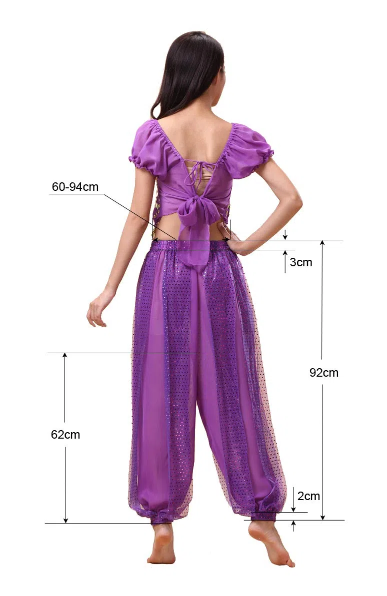 Bollywood Indian Princess Theme Belly Dance 2-Piece Costume Set Outfit for Women Girls with top and Pants (150-169cm, 30-60kg)