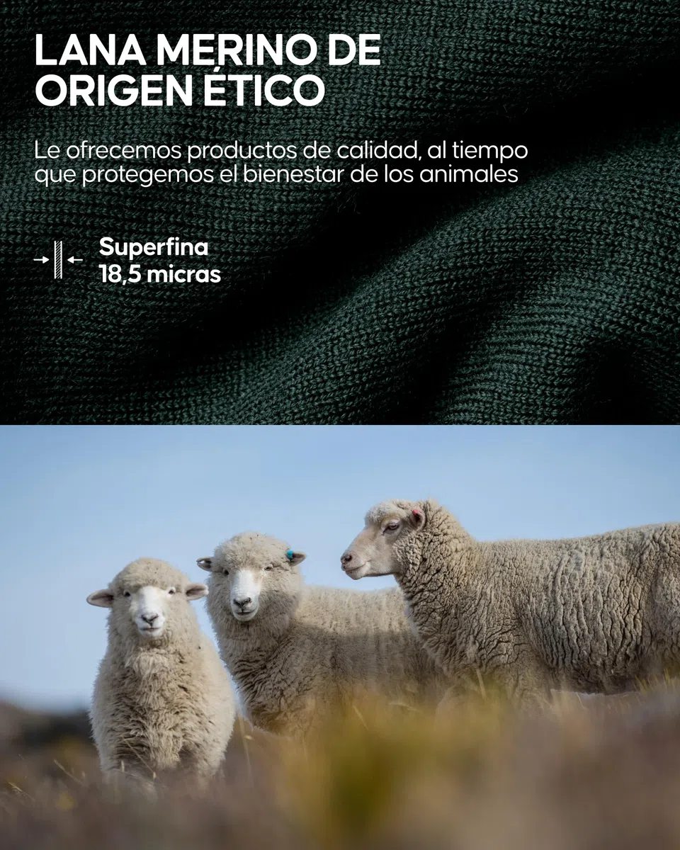 DANISH ENDURANCE Braga de Cuello Térmica de Merino con Forro Polar, Polaina, Balaclava, Calentador de Cuello para Invierno, para Hombres y Mujeres