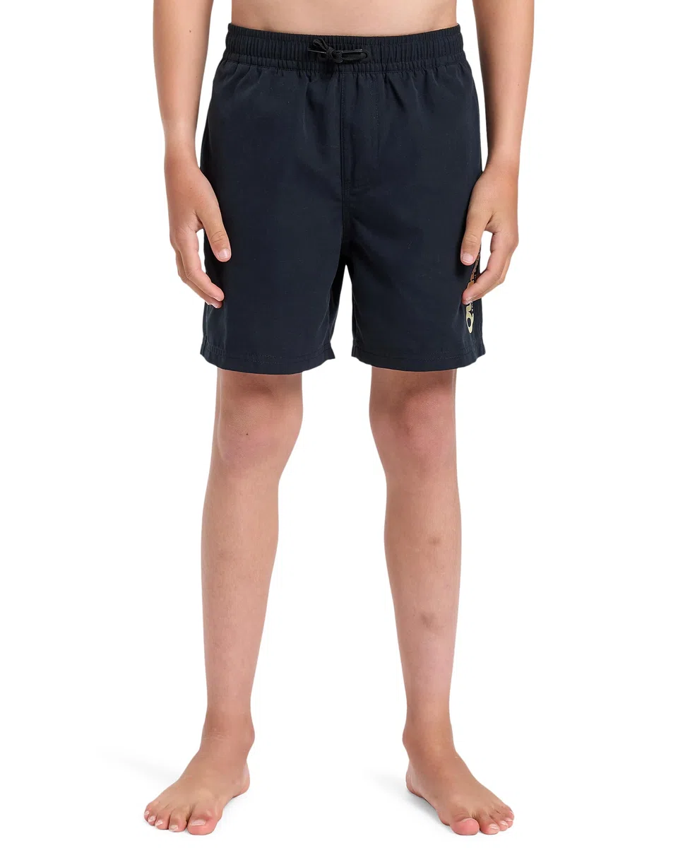 Quiksilver Pantalones Cortos para Niños