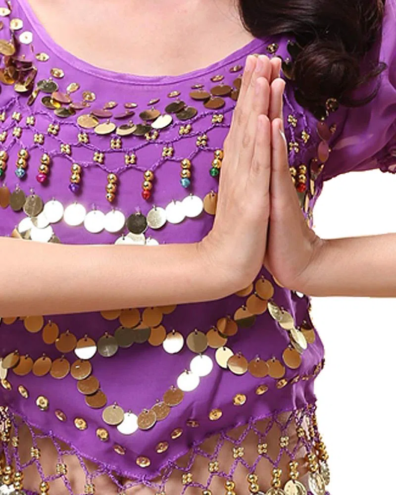 Bollywood Indian Princess Theme Belly Dance 2-Piece Costume Set Outfit for Women Girls with top and Pants (150-169cm, 30-60kg)