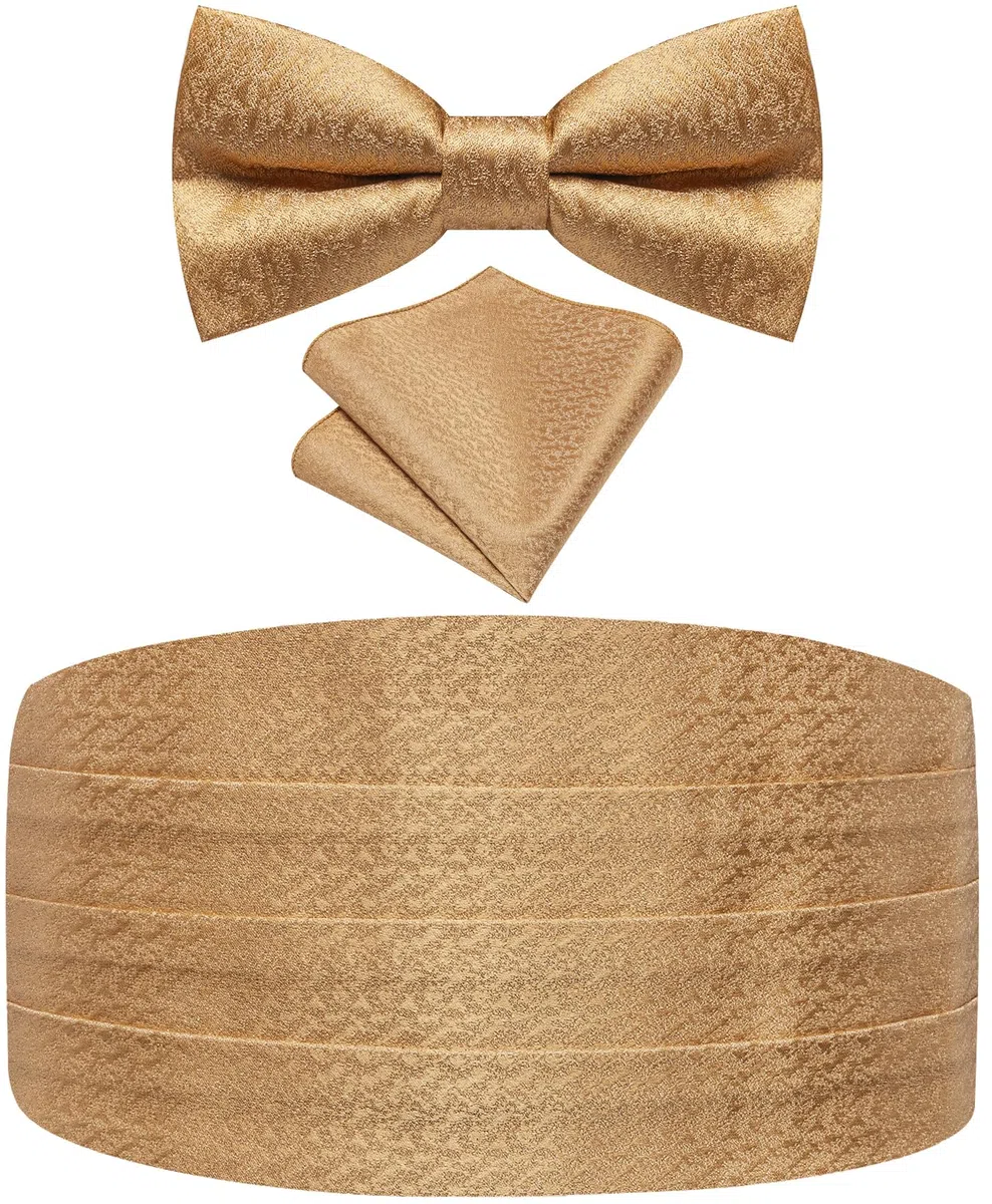 Conjunto de pajarita y Cummerbund con estampado floral de cachemira para hombres con pajarita preatada, bolsillo cuadrado, galas de boda