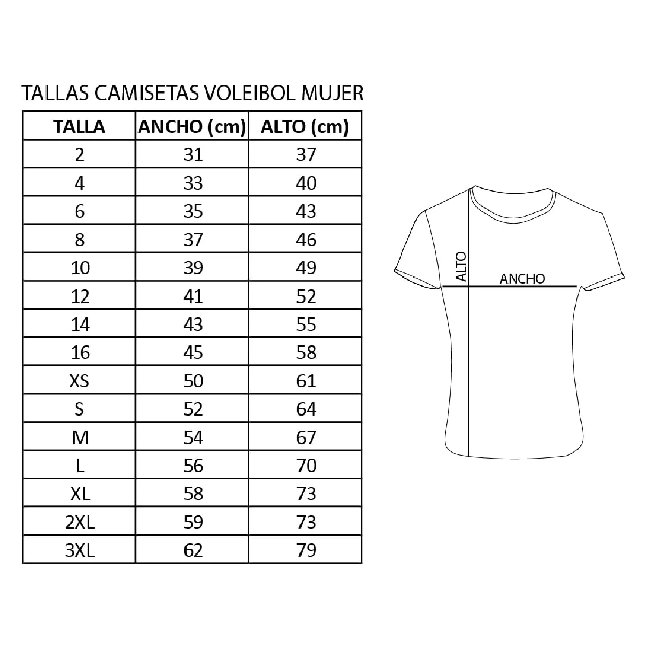 Equipación Deportiva de Voleibol Personalizada. Unisex niños y Adultos. Solo Camiseta. Personaliza con tu Nombre, Escudo y número