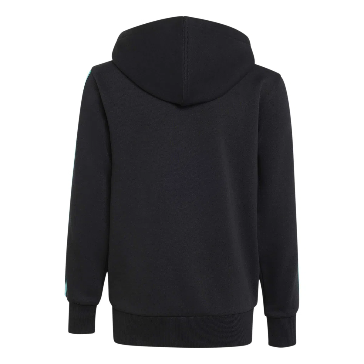adidas Mercedes - Amg Petronas Formula 1 Team DNA Full Zip Hoody Hoodies Unisex niños
