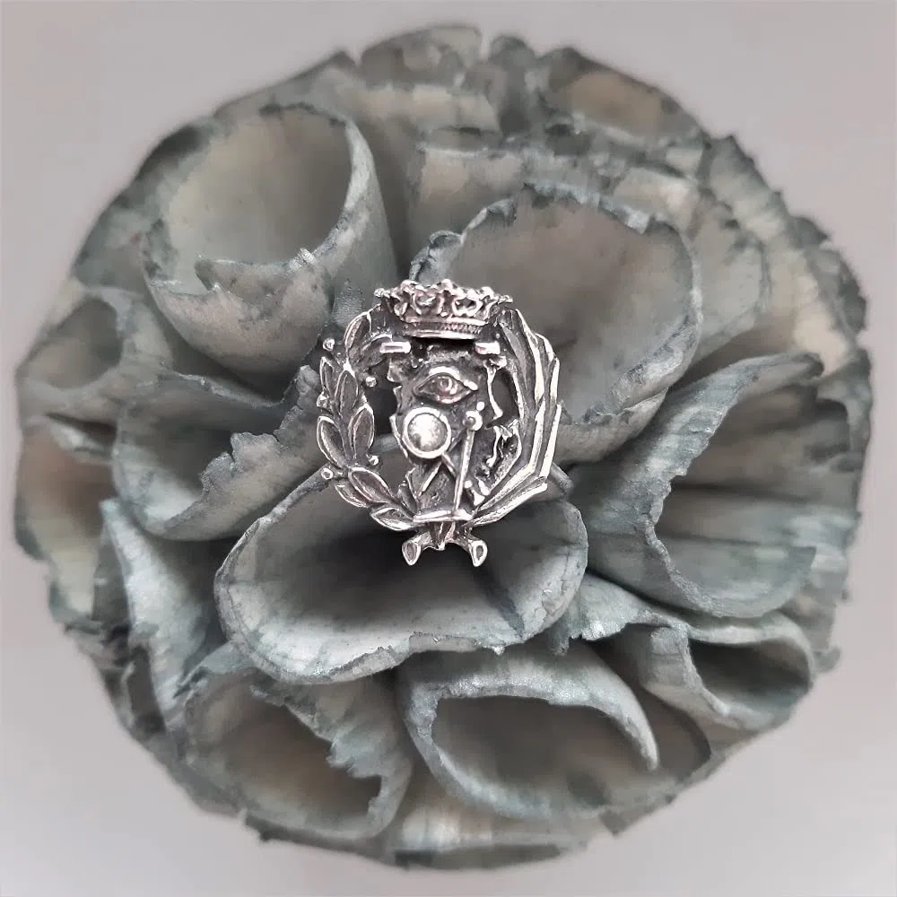 Insignia Profesional de Ciencias Exactas Pin para Hombre Mujer en Plata 925 con Caja para Regalo
