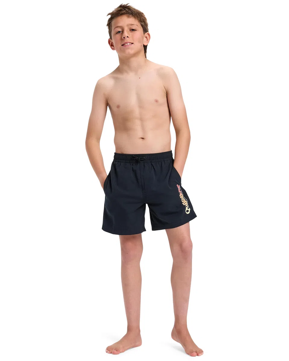Quiksilver Pantalones Cortos para Niños