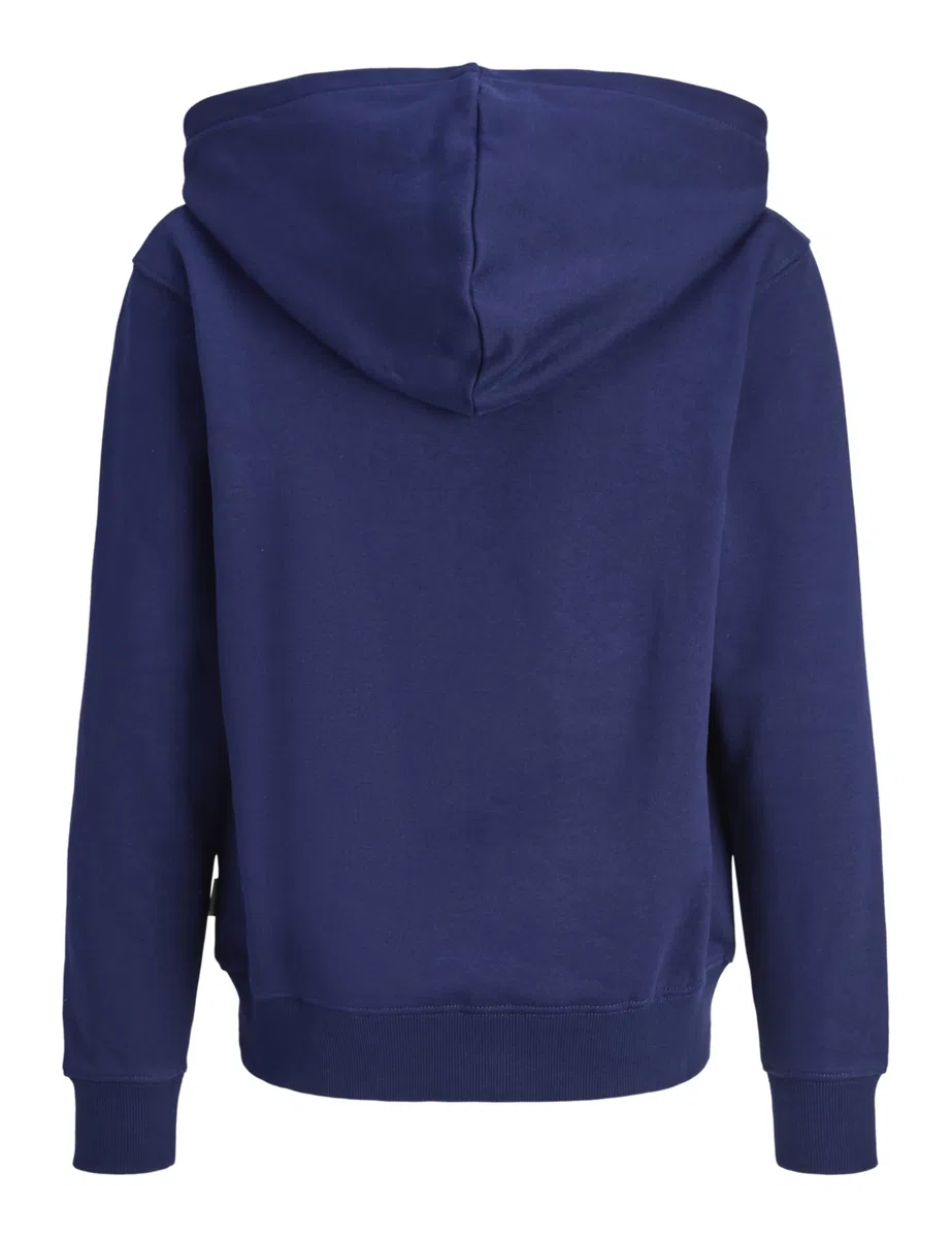 JACK & JONES Joryork Graphic Sweat Hood Jnr para Hombre