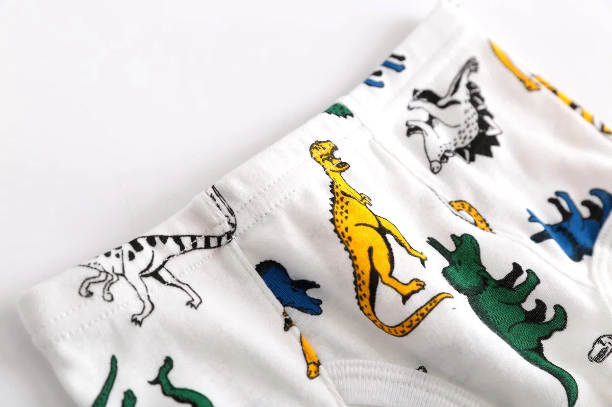 Calzoncillos Niño Algodón Ropa Interior Paquete de 12, Slips Niños 2-10 Años
