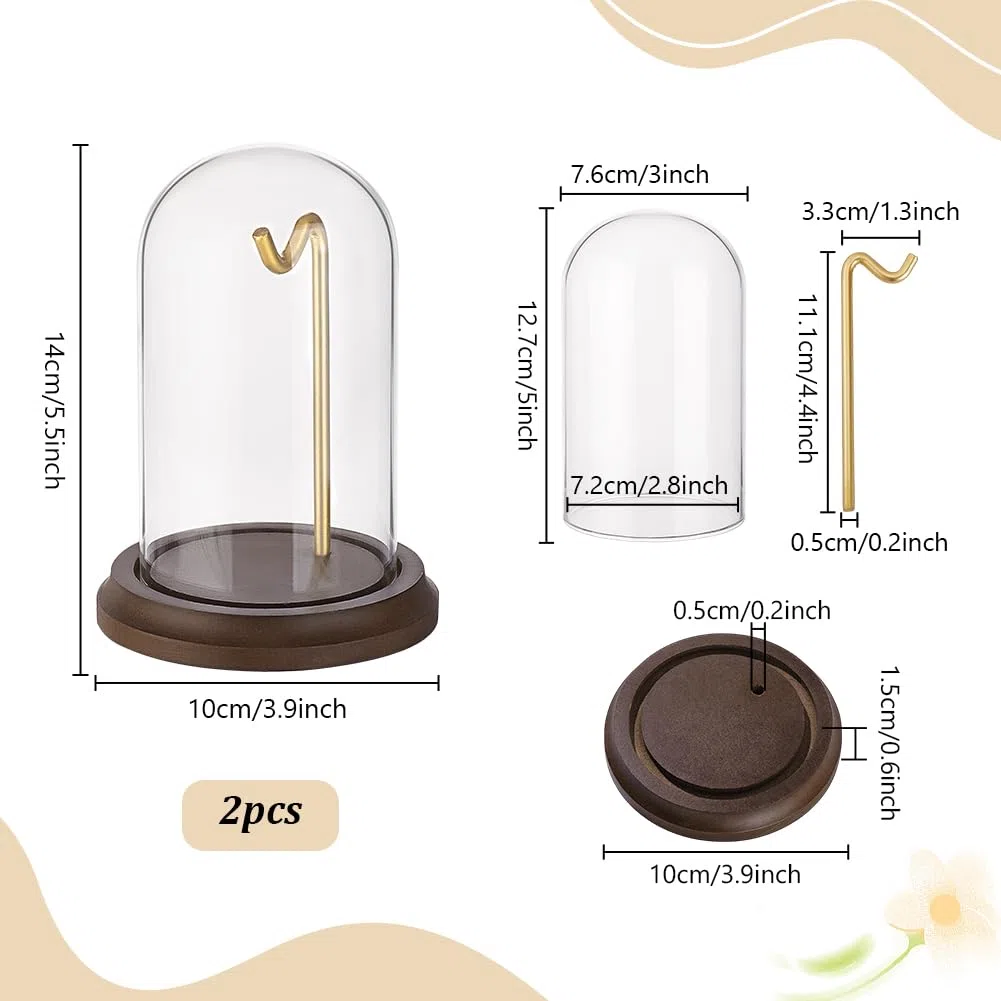 PH PandaHall 2 piezas de 4 x 5 pulgadas para reloj de bolsillo con gancho de metal, tarro decorativo para exhibición de reloj con base de madera, vitrina de cristal para reloj de bolsillo, medallas